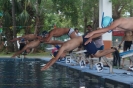 Campeonato Nacional de Actividades Sub-acuáticas Guerrero 2022_2